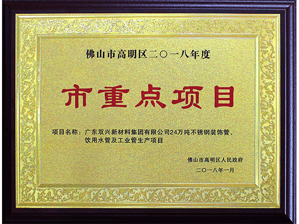 胜游体育(中国)官方在线-市重点项目