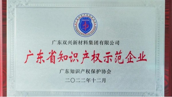 胜游体育(中国)官方在线集团荣获“知识产权示范企业”荣誉